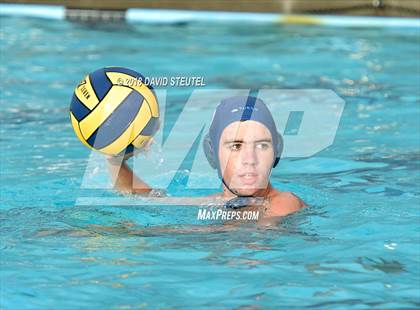 Thumbnail 1 in Antelope @ Inderkum photogallery.