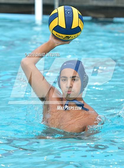 Thumbnail 2 in Antelope @ Inderkum photogallery.