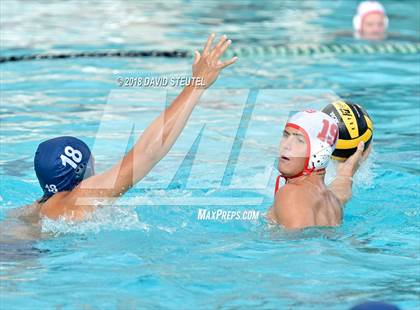 Thumbnail 2 in Antelope @ Inderkum photogallery.