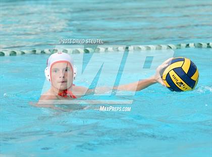 Thumbnail 3 in Antelope @ Inderkum photogallery.