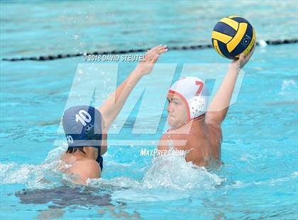 Thumbnail 3 in Antelope @ Inderkum photogallery.