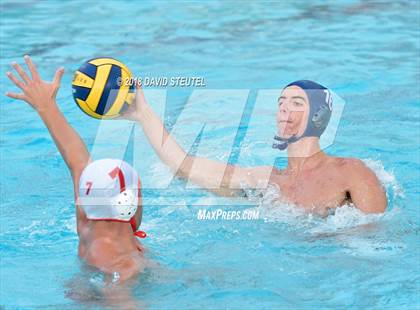 Thumbnail 3 in Antelope @ Inderkum photogallery.
