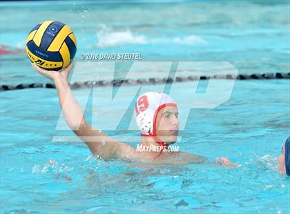 Thumbnail 2 in Antelope @ Inderkum photogallery.