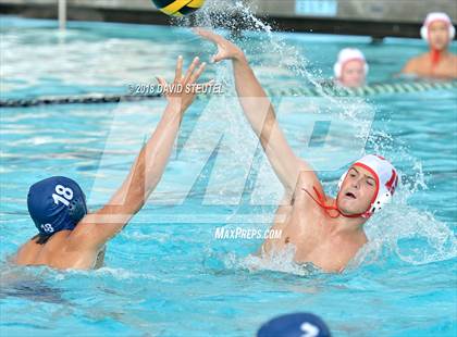 Thumbnail 1 in Antelope @ Inderkum photogallery.