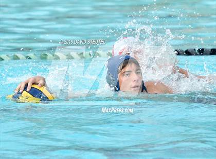 Thumbnail 3 in Antelope @ Inderkum photogallery.