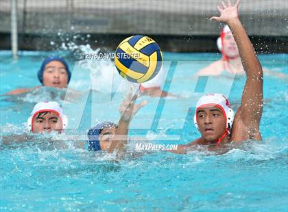Thumbnail 2 in Antelope @ Inderkum photogallery.