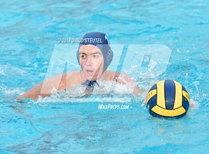 Thumbnail 1 in Antelope @ Inderkum photogallery.