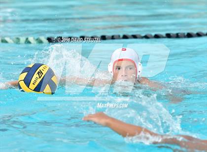 Thumbnail 1 in Antelope @ Inderkum photogallery.