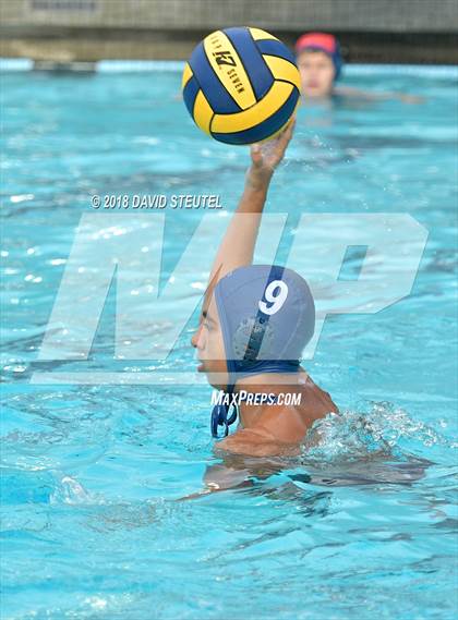 Thumbnail 3 in Antelope @ Inderkum photogallery.