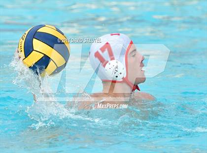 Thumbnail 2 in Antelope @ Inderkum photogallery.