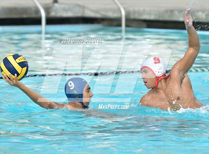 Thumbnail 2 in Antelope @ Inderkum photogallery.