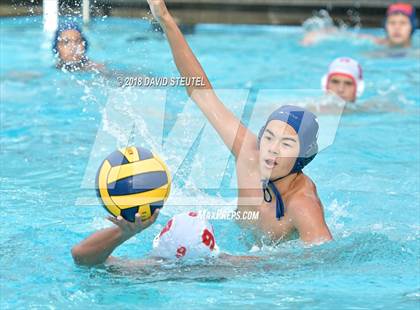 Thumbnail 2 in Antelope @ Inderkum photogallery.