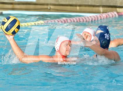 Thumbnail 3 in Antelope @ Inderkum photogallery.