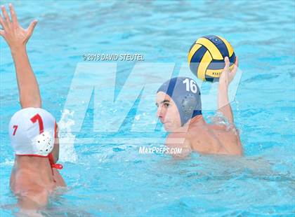 Thumbnail 2 in Antelope @ Inderkum photogallery.