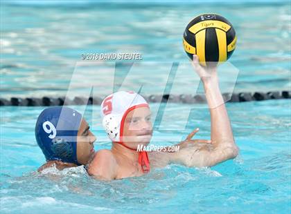 Thumbnail 1 in Antelope @ Inderkum photogallery.