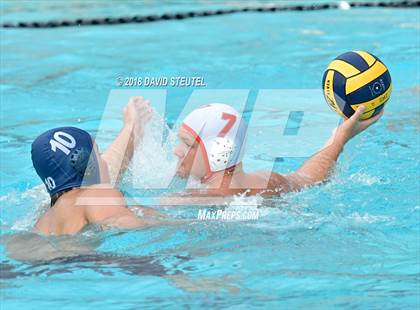 Thumbnail 2 in Antelope @ Inderkum photogallery.