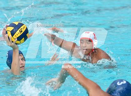 Thumbnail 3 in Antelope @ Inderkum photogallery.
