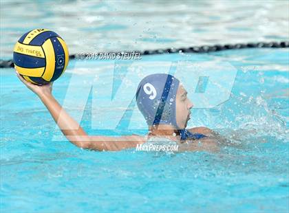 Thumbnail 1 in Antelope @ Inderkum photogallery.
