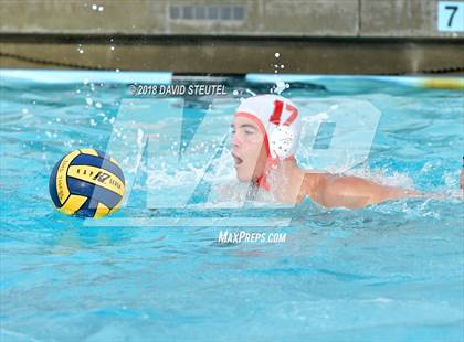 Thumbnail 3 in Antelope @ Inderkum photogallery.
