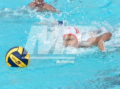 Thumbnail 3 in Antelope @ Inderkum photogallery.