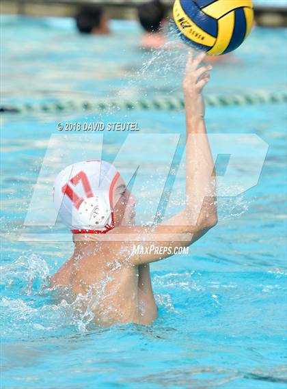Thumbnail 3 in Antelope @ Inderkum photogallery.