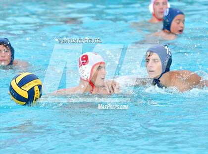 Thumbnail 2 in Antelope @ Inderkum photogallery.