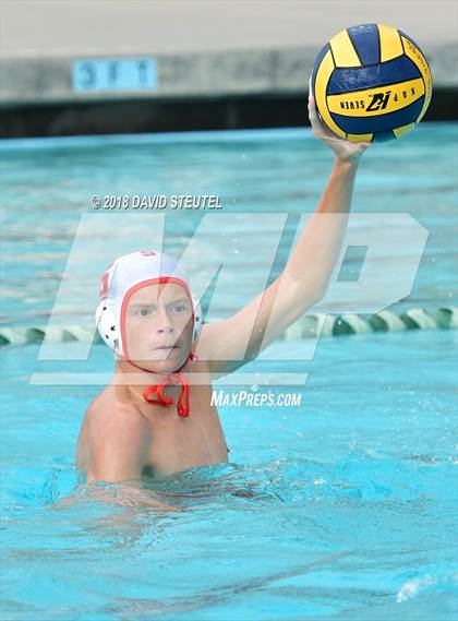 Thumbnail 1 in Antelope @ Inderkum photogallery.
