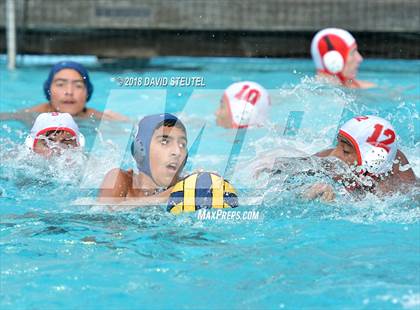 Thumbnail 1 in Antelope @ Inderkum photogallery.