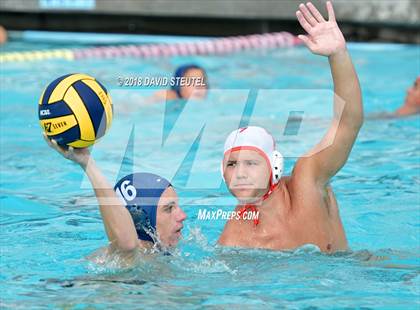 Thumbnail 3 in Antelope @ Inderkum photogallery.