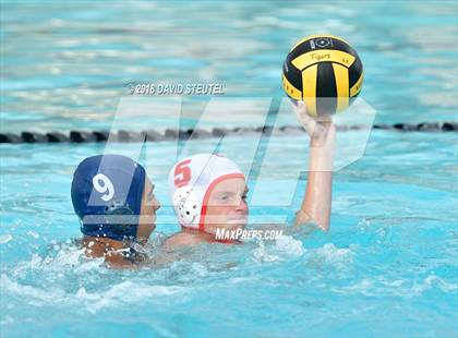 Thumbnail 3 in Antelope @ Inderkum photogallery.