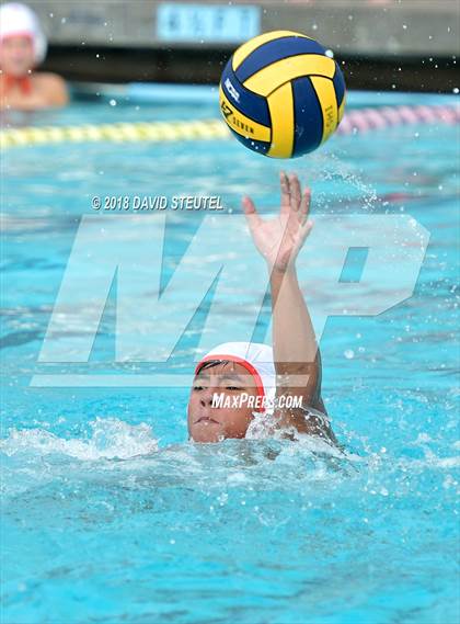 Thumbnail 3 in Antelope @ Inderkum photogallery.