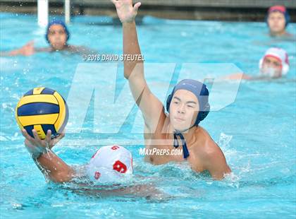Thumbnail 3 in Antelope @ Inderkum photogallery.