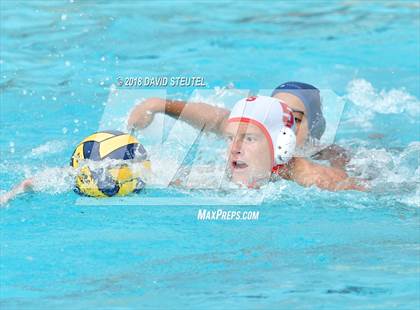 Thumbnail 3 in Antelope @ Inderkum photogallery.