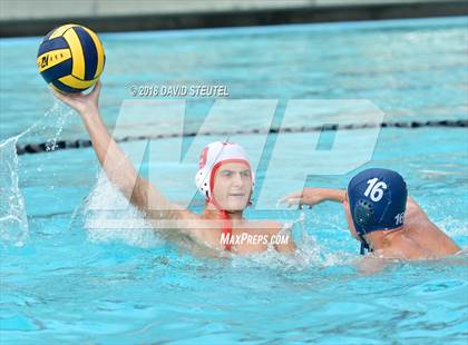Thumbnail 2 in Antelope @ Inderkum photogallery.