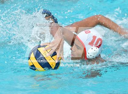Thumbnail 1 in Antelope @ Inderkum photogallery.