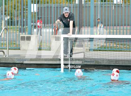 Thumbnail 1 in Antelope @ Inderkum photogallery.