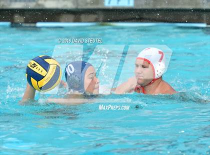 Thumbnail 2 in Antelope @ Inderkum photogallery.