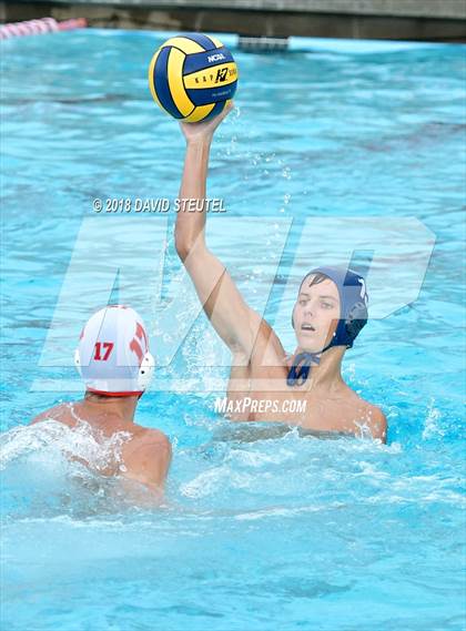 Thumbnail 3 in Antelope @ Inderkum photogallery.