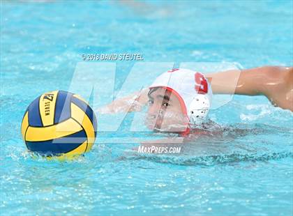 Thumbnail 1 in Antelope @ Inderkum photogallery.