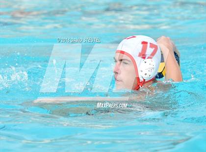 Thumbnail 3 in Antelope @ Inderkum photogallery.