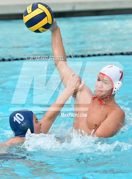 Thumbnail 1 in Antelope @ Inderkum photogallery.