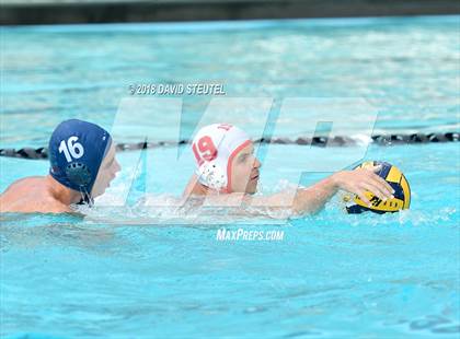 Thumbnail 1 in Antelope @ Inderkum photogallery.
