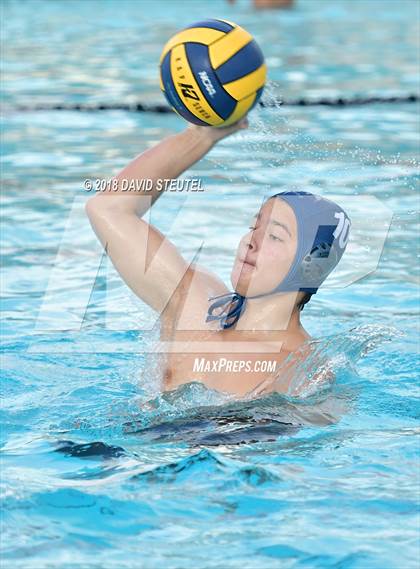 Thumbnail 3 in Antelope @ Inderkum photogallery.
