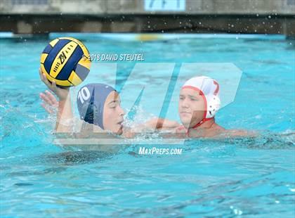 Thumbnail 3 in Antelope @ Inderkum photogallery.