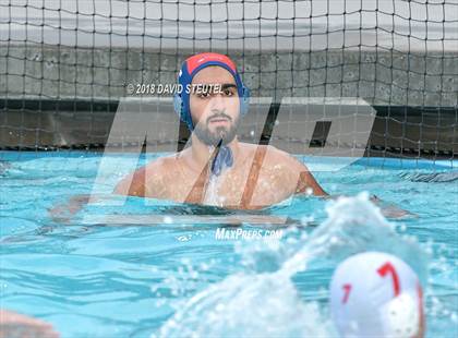 Thumbnail 3 in Antelope @ Inderkum photogallery.