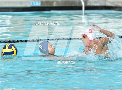 Thumbnail 3 in Antelope @ Inderkum photogallery.