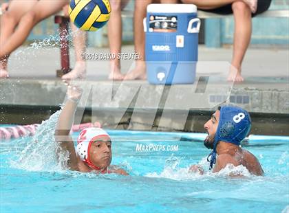 Thumbnail 1 in Antelope @ Inderkum photogallery.