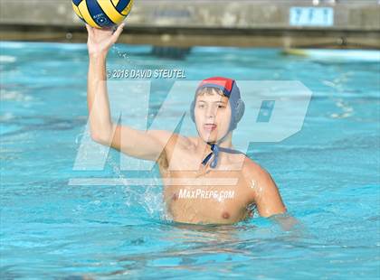 Thumbnail 2 in Antelope @ Inderkum photogallery.