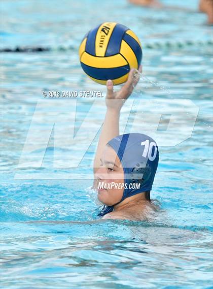 Thumbnail 2 in Antelope @ Inderkum photogallery.