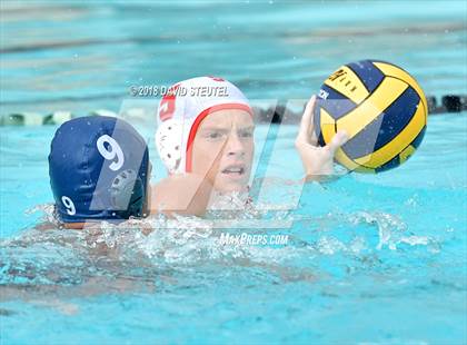 Thumbnail 1 in Antelope @ Inderkum photogallery.